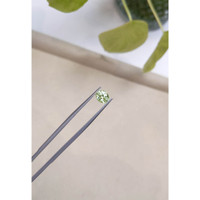 1.60 Ct. Mali Garnet from West Africa Life Style