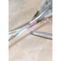 0.29 Ct. Alexandrite from Russia  Life Style