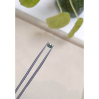 0.27 Ct. Alexandrite from Russia  Life Style