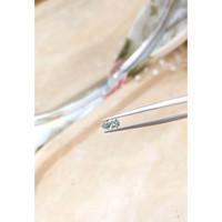 0.51 Ct. Alexandrite from Russia  Life Style