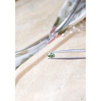 0.71 Ct. Alexandrite from Russia  Life Style