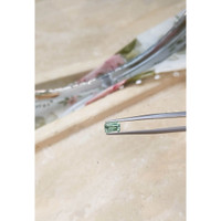 0.90 Ct. Alexandrite from Russia  Life Style