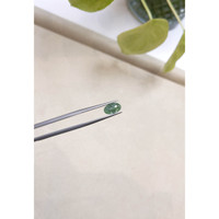 1.76 Ct. Cabochon Alexandrite from Russia Life Style