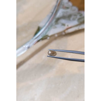 0.82 Ct. Cabochon Alexandrite from Russia  Life Style