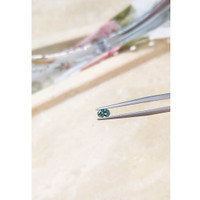 0.30 Ct. Alexandrite from Russia Life Style
