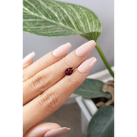 1.19 Ct. Garnet from Ceylon (Sri Lanka) Life Style