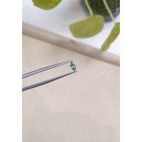 0.30 Ct. Alexandrite from Russia  Life Style