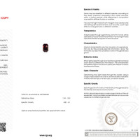 6.74 Ct. Red Almandine Garnet from Ceylon (Sri Lanka) Scan Report