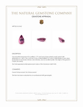 2.79 Ct. Pinkish Purple Garnet from Ceylon (Sri Lanka) Appraisal