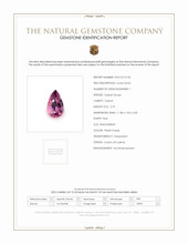 2.79 Ct. Garnet from Ceylon (Sri Lanka) Scan Report