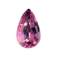 2.79 Ct. Garnet from Ceylon (Sri Lanka) Video
