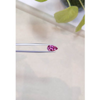 2.79 Ct. Garnet from Ceylon (Sri Lanka) Life Style