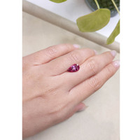 2.79 Ct. Garnet from Ceylon (Sri Lanka) Life Style