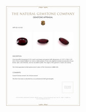 5.92 Ct. Garnet from Ceylon (Sri Lanka) Appraisal