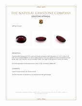 5.92 Ct. Red Garnet from Ceylon (Sri Lanka) Appraisal