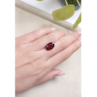 5.92 Ct. Garnet from Ceylon (Sri Lanka) Life Style