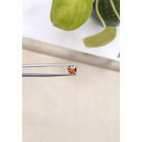 1.66 Ct. Zircon from Madagascar Life Style