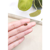 1.90 Ct. Zircon from Tanzania Life Style