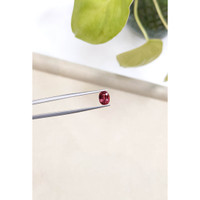 1.40 Ct. Tourmaline from Mozambique Life Style