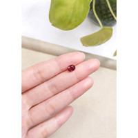 1.40 Ct. Tourmaline from Mozambique Life Style