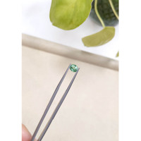 0.80 Ct. Tourmaline from Africa Life Style
