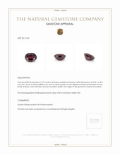 2.10 Ct. Garnet from Ceylon (Sri Lanka) Appraisal