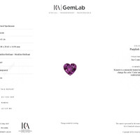 Jewelry Scan Report