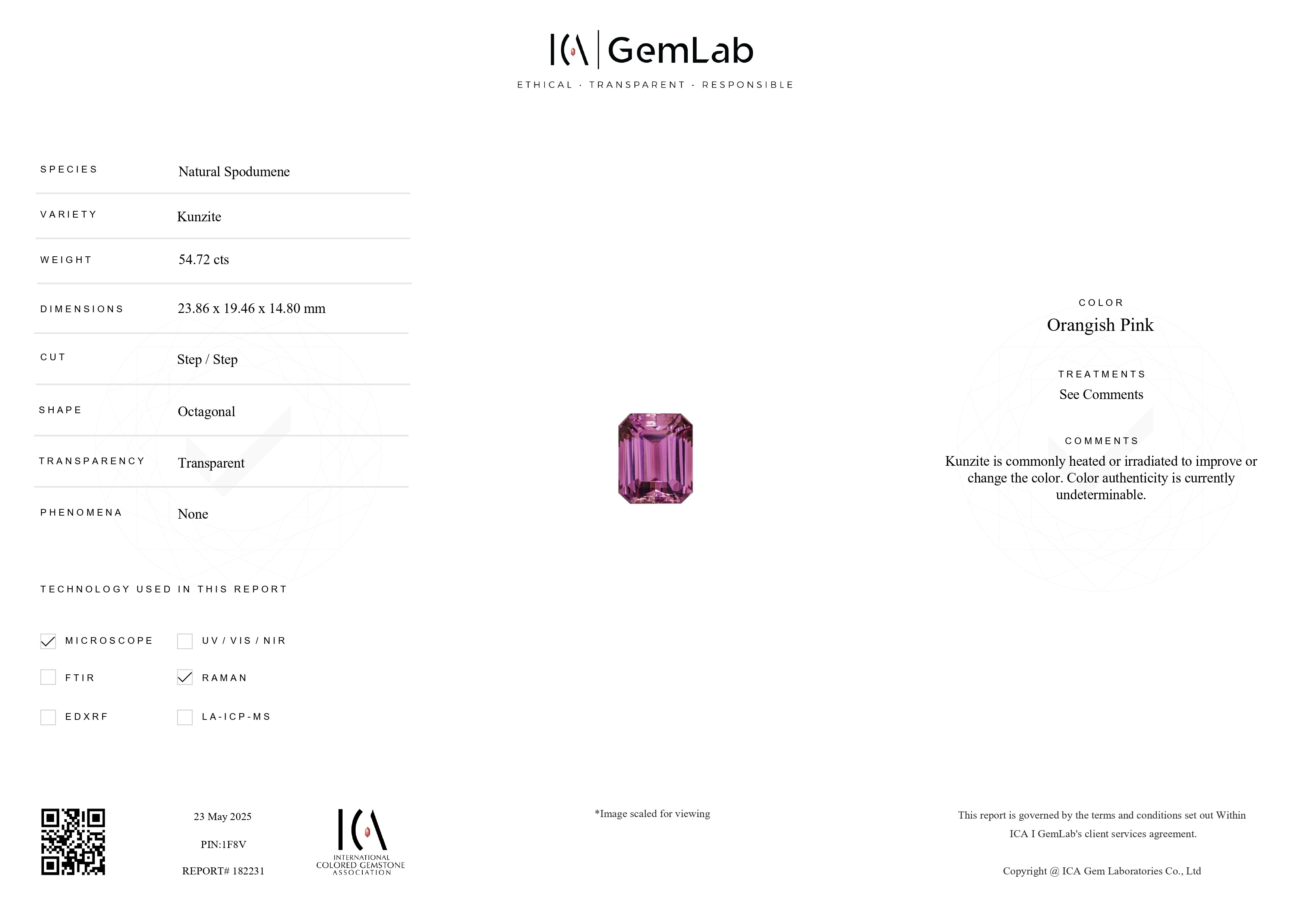 54.72 Ct. Kunzite from Afghanistan