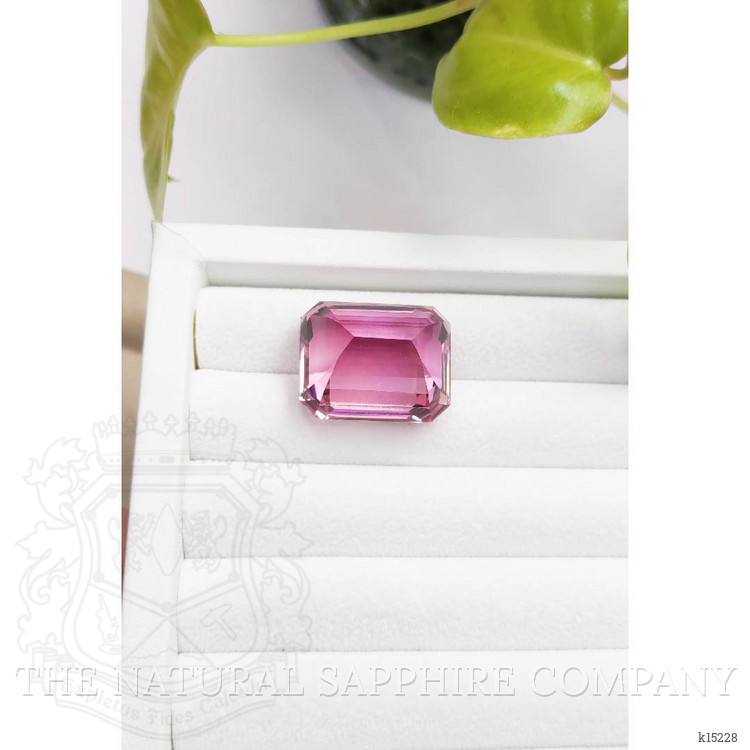 54.72 Ct. Kunzite from Afghanistan