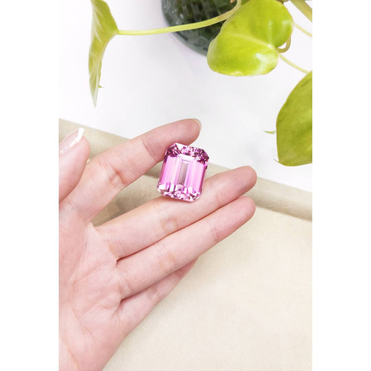 54.72 Ct. Kunzite from Afghanistan