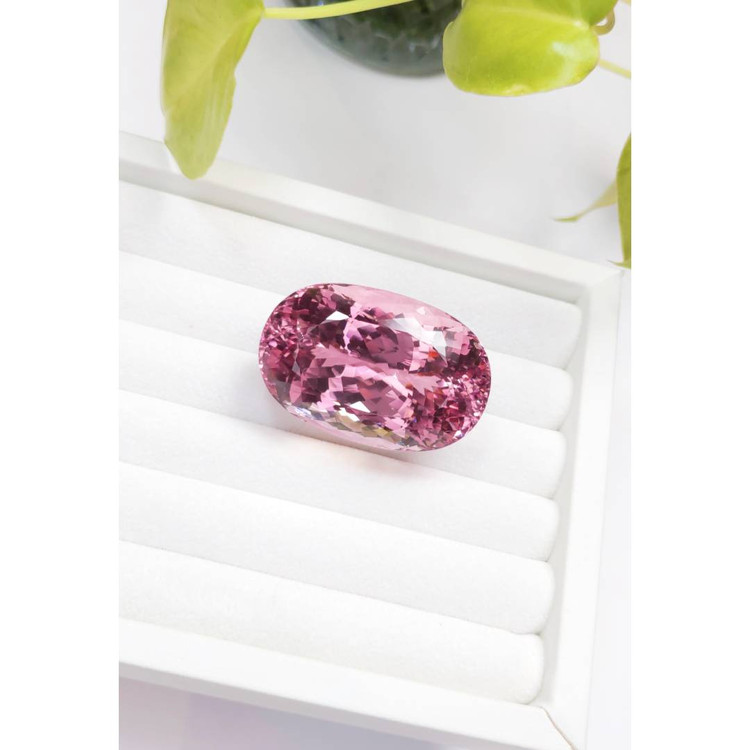 227.09 Ct. Kunzite from Afghanistan