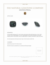 0.97 Ct. Spinel from Ceylon (Sri Lanka) Appraisal