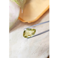 15.06 Ct. Quartz from Brazil Life Style