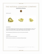 10.05 Ct. Lemon Quartz from Brazil Appraisal