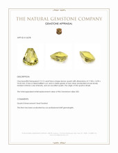 13.13 Ct. Quartz from Brazil Appraisal