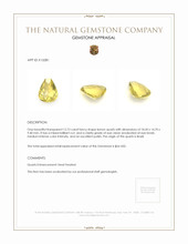 12.73 Ct. Quartz from Brazil Appraisal