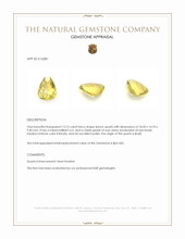 12.73 Ct. Quartz from Brazil Appraisal