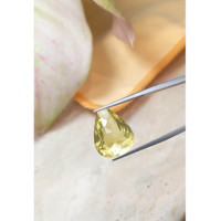 12.73 Ct. Quartz from Brazil Life Style