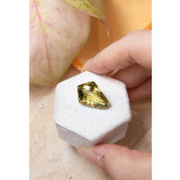 13.04 Ct. Quartz from Brazil Life Style