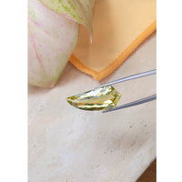 16.28 Ct. Quartz from Brazil Life Style
