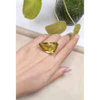 37.58 Ct. Quartz from Brazil Life Style