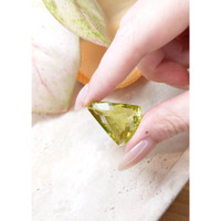 35.51 Ct. Quartz from Brazil Life Style