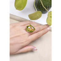 29.63 Ct. Quartz from Brazil Life Style