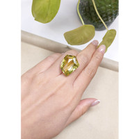 29.63 Ct. Quartz from Brazil Life Style