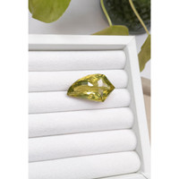 39.04 Ct. Quartz from Brazil Life Style