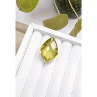 54.43 Ct. Quartz from Brazil Life Style