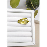 33.83 Ct. Quartz from Brazil Life Style