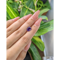 1.66 Ct. Amethyst from Brazil Life Style