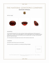 9.65 Ct. Spessartite Garnet from Ceylon (Sri Lanka) Appraisal