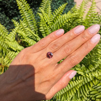 4.09 Ct. Garnet from Ceylon (Sri Lanka) Life Style